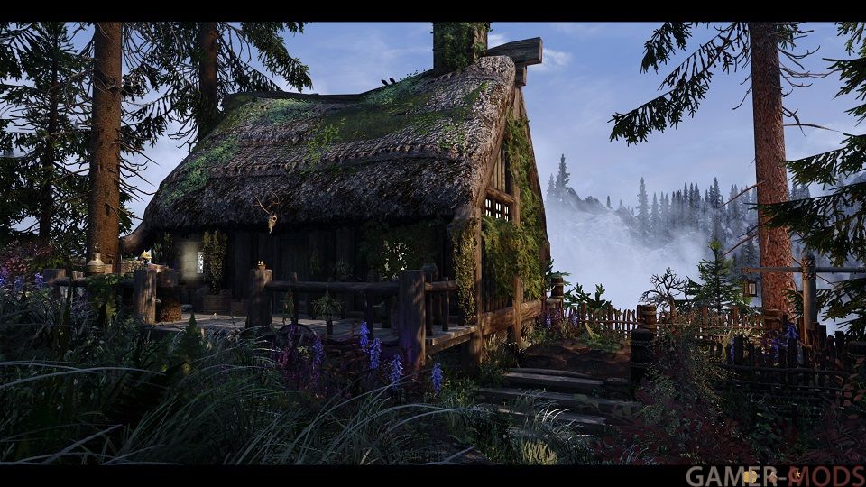 Избушка Ведьмы / Witch's Cottage