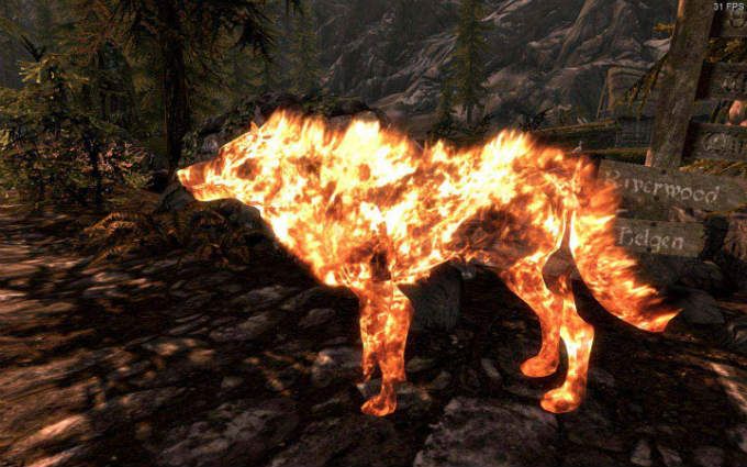 Daruk The Fire Wolf / Огненный волк Дэрук