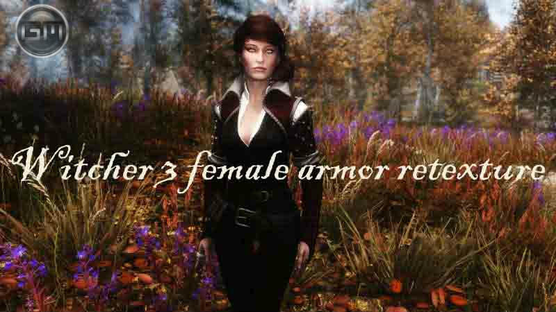 Ретекстур одежды Йеннифер и Трисс / Witcher 3 Female Armor Retextures