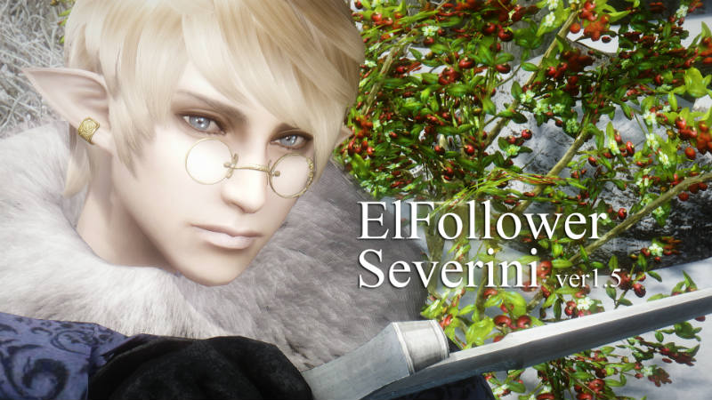 Компаньон эльф Северини / Elf Follower Severini