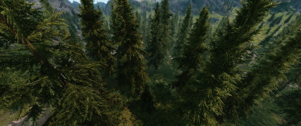 Великий лес / WhiterunHoldForest