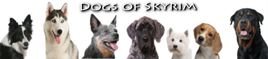 Собаки Скайрима (SE-АЕ) / Dogs of Skyrim SSE