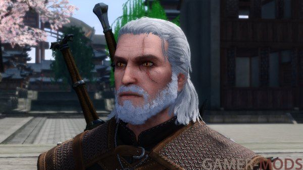 Геральт из Ривии SE | Geralt Of Rivia Voiced Follower SE