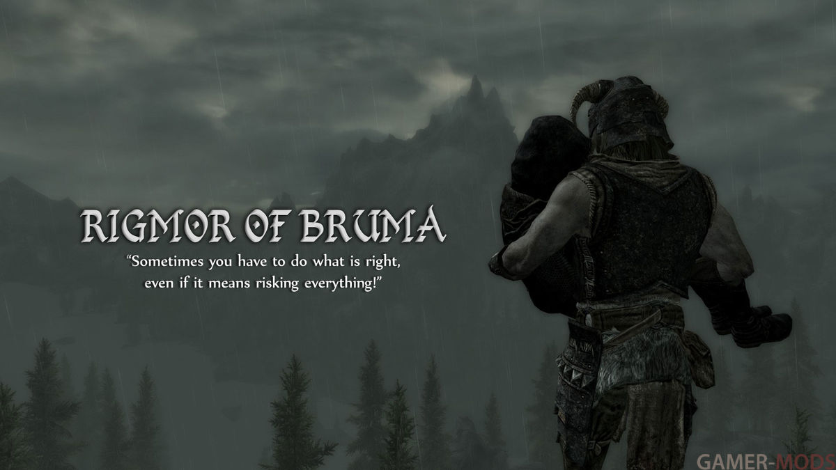 Rigmor of Bruma - Reboot | Ригмор из Брумы - Перезагрузка SE