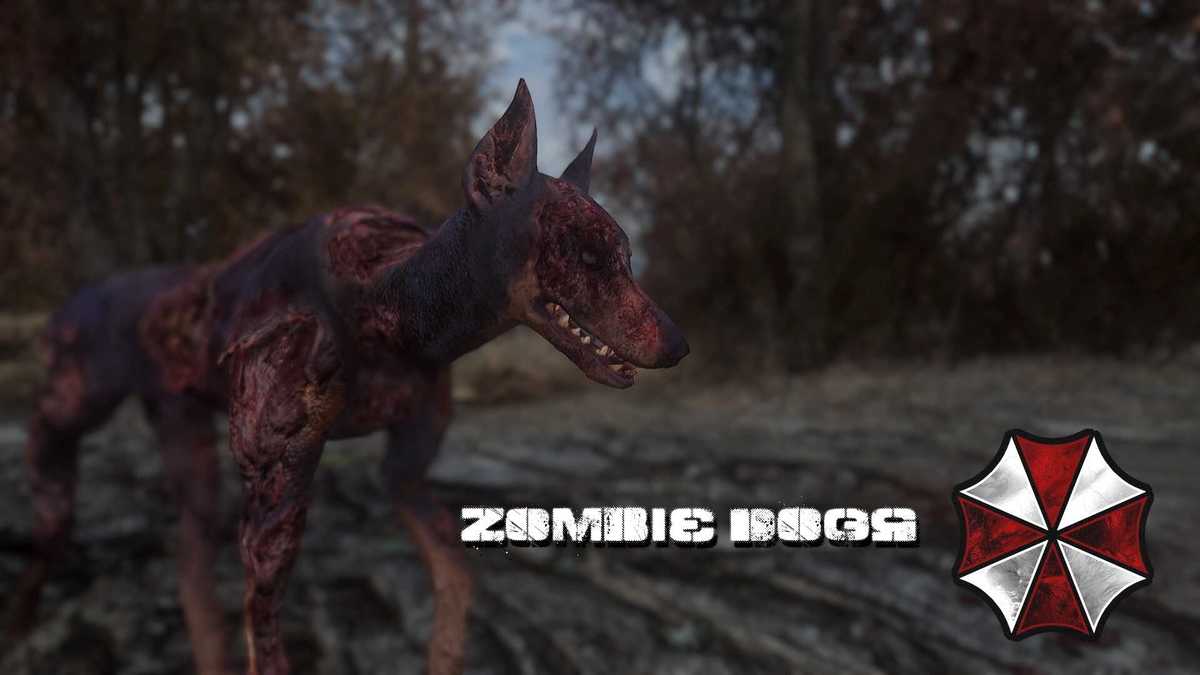 Fallout 4 more feral ghouls фото 75