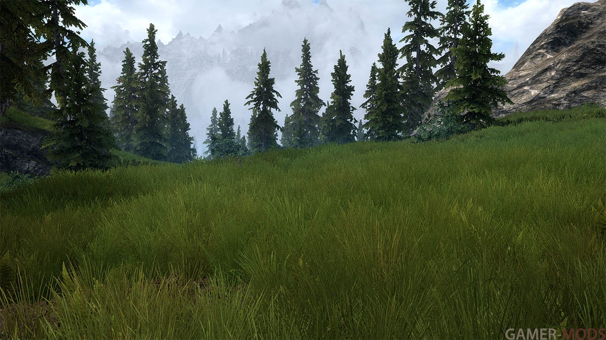 Skyrim grass mod