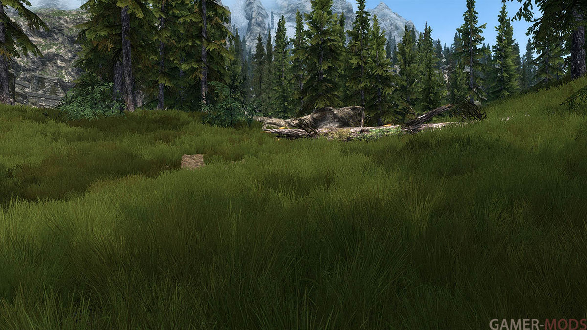 Skyrim grass mod. Скайрим se меньше травы.