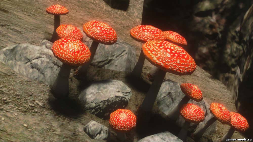 Реалистичные грибы / Realistic Mushrooms