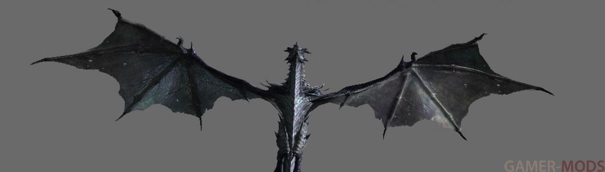 Immersive Dragons / Иммерсивные драконы