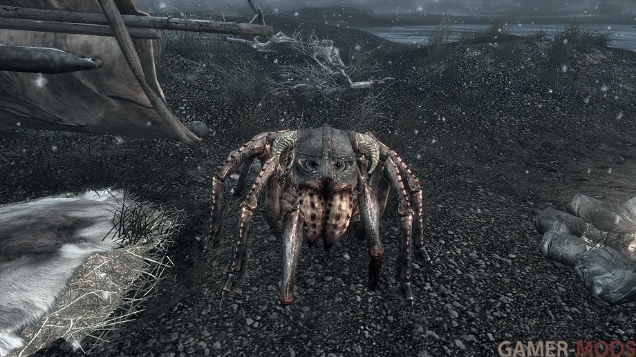 Драконорожденный паук для Skyrim SE-AE