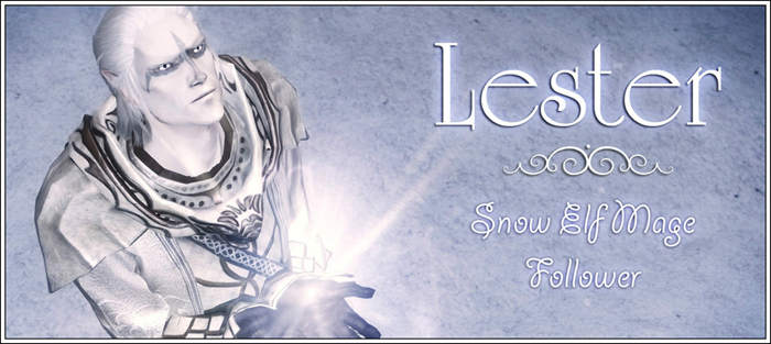 Снежный эльф Лестер / TDN Followers - Snow Elf Mage Follower - Lester