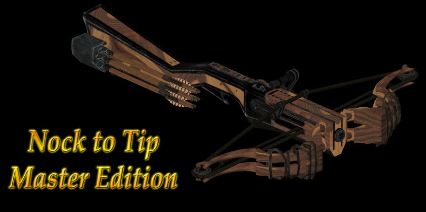 У игрока Skyrim есть дикая коллекция стрел из кости дракона