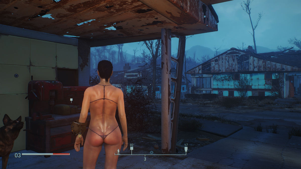 Ретекстур кожи женского тела и лица "Валькирия" для Fallout 4. Эт...