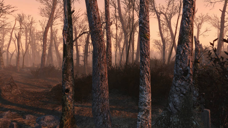 Живописный Fallout - Деревья | Vivid Fallout - Trees