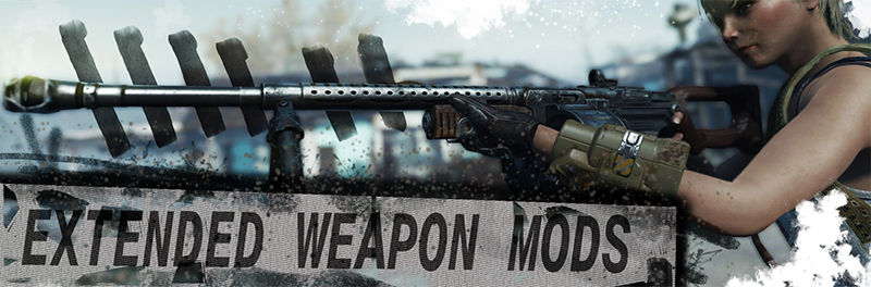 Расширенные оружейные модификации / Extended weapon mods