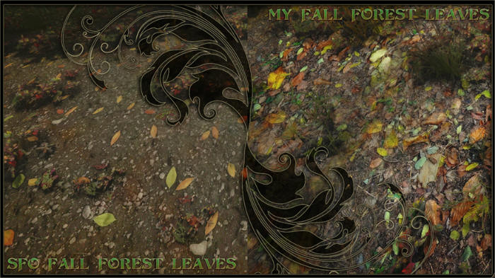 Осенняя листва на земле / Alternate Fall Forest Textures