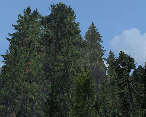 Патч совместимости «Skyrim Bigger Trees» и «Skyrim Flora Overhaul 2.5b»