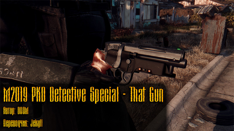 M2019 PKD Detective Special - That Gun