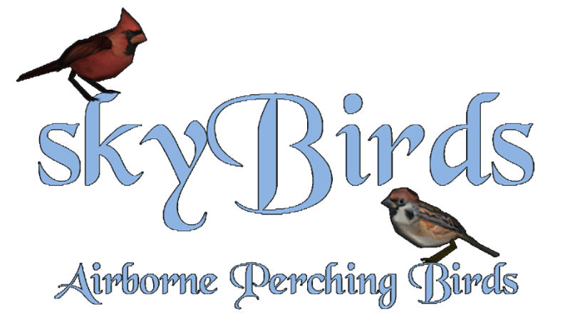 Летающие птицы (SE-АЕ) | skyBirds SSE Edition