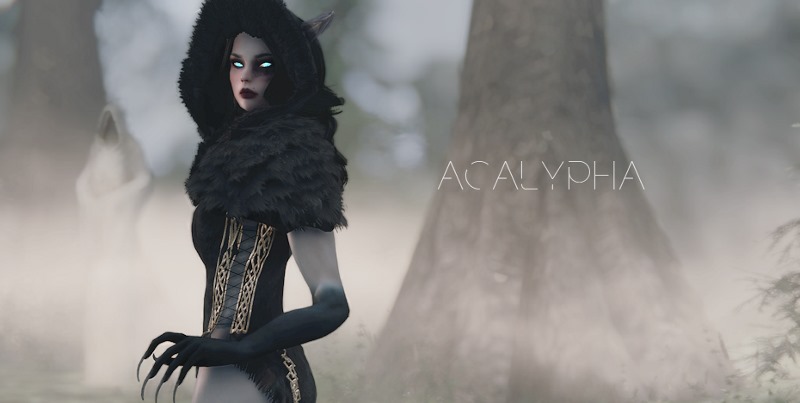 Акалифа / Acalypha - Fully voiced follower