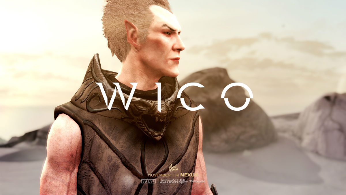 WICO - Windsong Immersive Character Overhaul - это глобальный реплейсер жен...