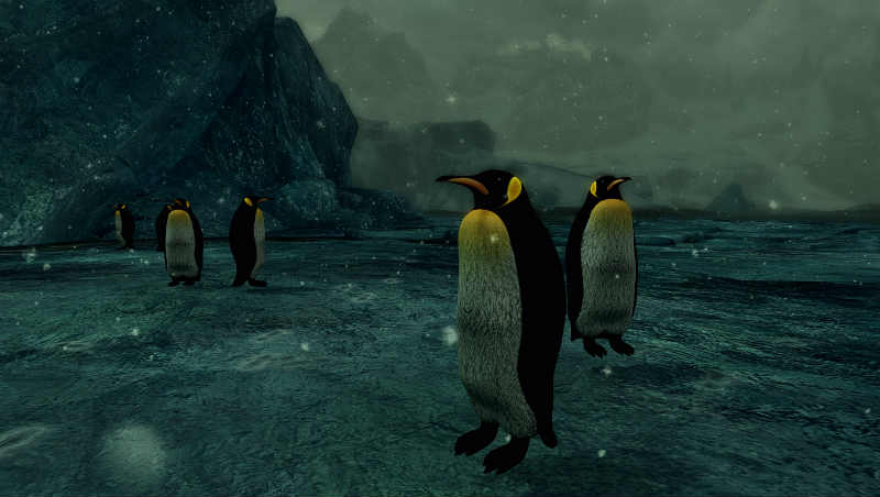 Пингвины / Wild Penguins