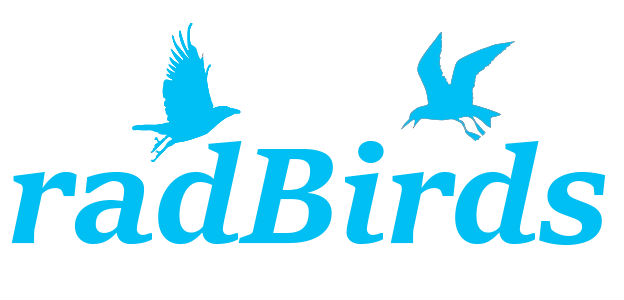 Капремонт звуков птиц + слайдеры громкости / radBirds - Bird Sound Overhaul