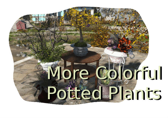 Разнообразные горшечные растения / More Colorful Potted Plants