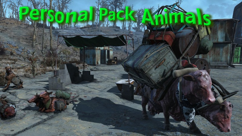 Личные вьючные животные / Personal Pack Animals