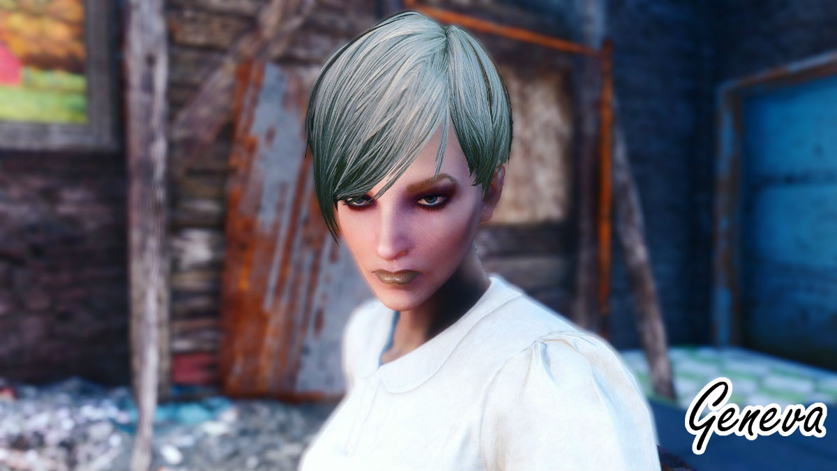 Wasteland heroines replacer fallout 4 фото 116