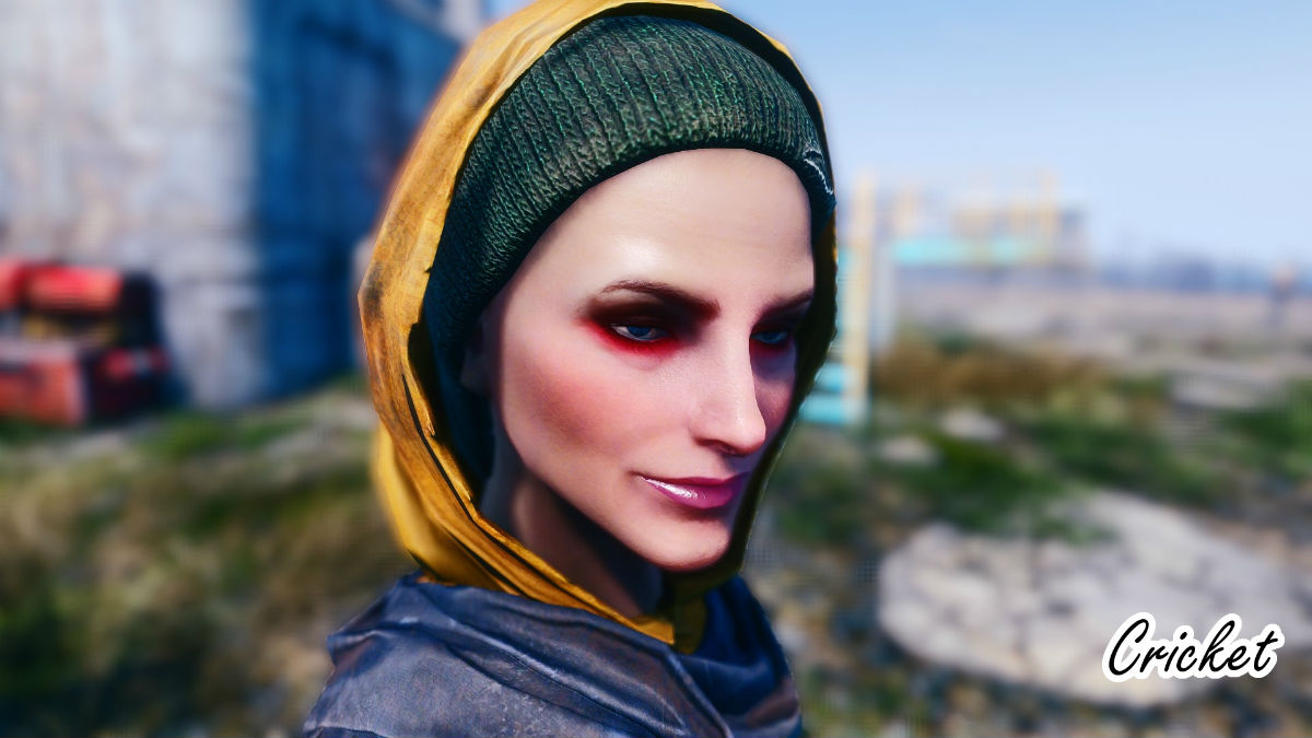 Wasteland heroines replacer fallout 4 фото 28