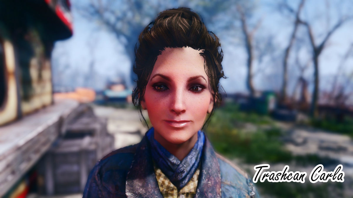 Wasteland heroines replacer fallout 4 фото 33
