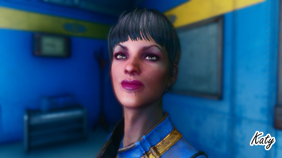 Wasteland heroines replacer fallout 4 фото 14