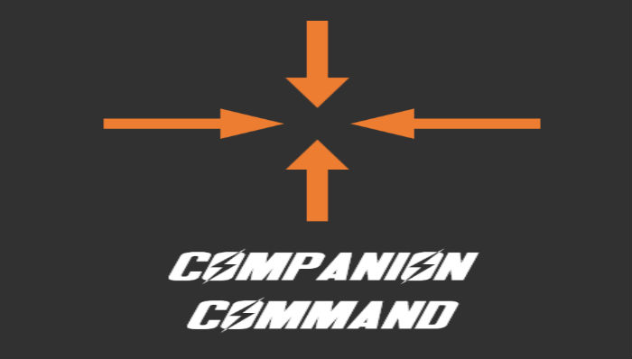 Команды и тактика для компаньонов | Companion Command and Tactics