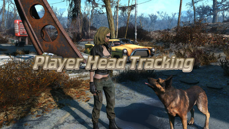 Поворот головы игрока | Player Head Tracking