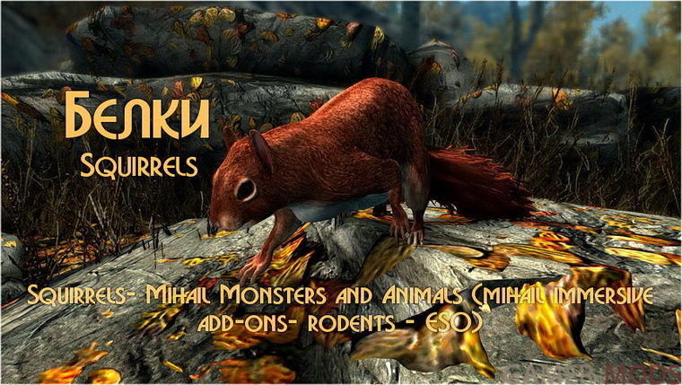 Белки / Squirrels- Mihail Monsters and Animals (add-ons rodents - ESO)