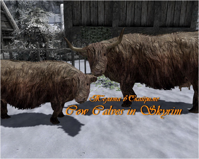 Телята в Скайриме / Cow Calves in Skyrim