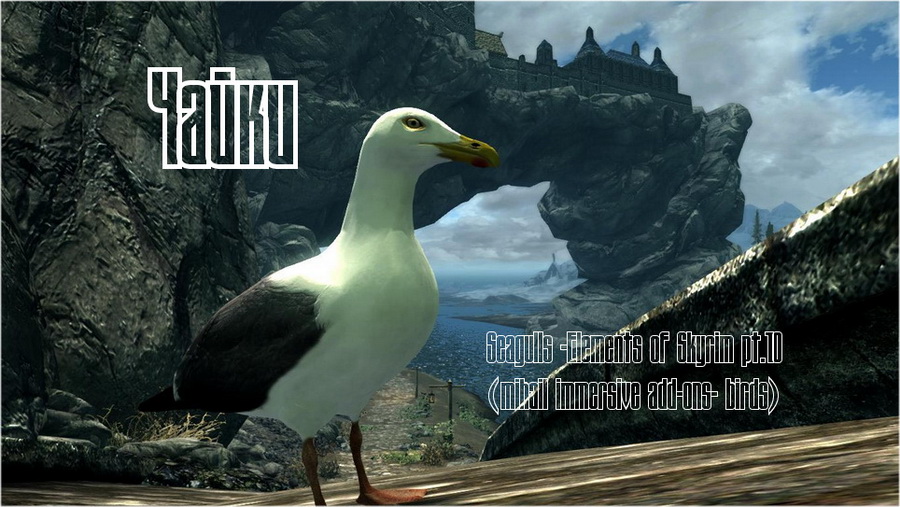 Чайки | Seagulls - Elements of Skyrim pt.10 (mihail immersive add-ons-birds)