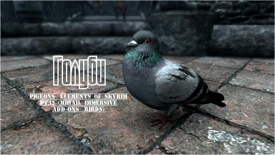 Голуби | Elements of Skyrim pt.12 (mihail immersive add-ons- birds)