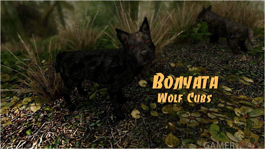 Волчата | Wolf Cubs - Elements of Skyrim pt.14 (mihail immersive add-ons- animals)
