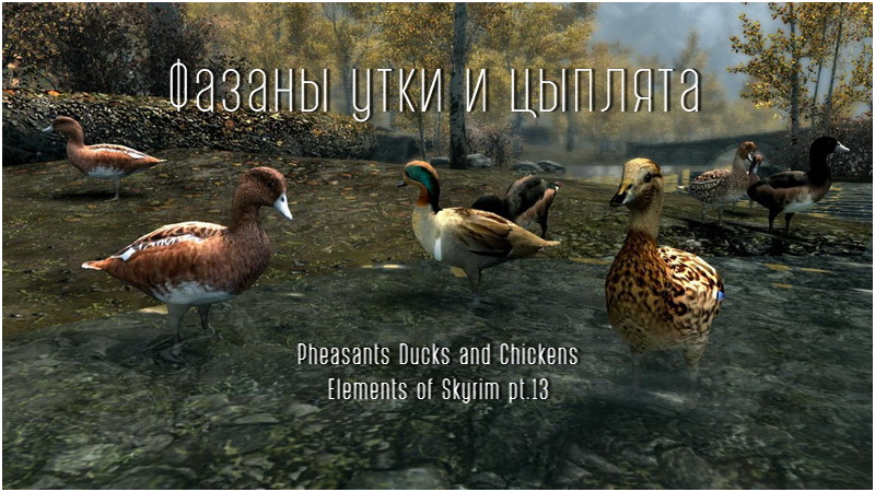 Фазаны, утки и цыплята | Pheasants Ducks and Chickens Elements of Skyrim