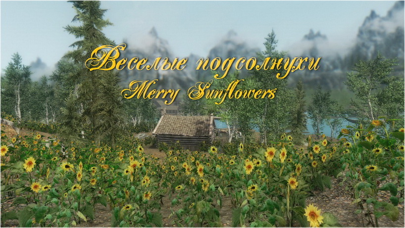 Веселые подсолнухи / Merry Sunflowers