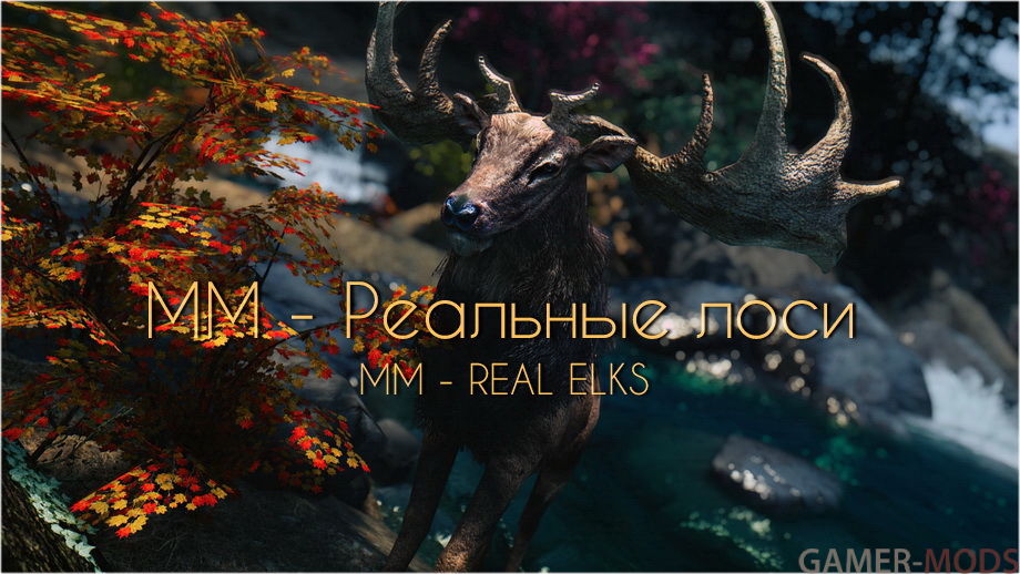 ММ - Реальные лоси / MM - REAL ELKS