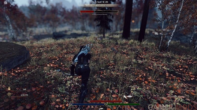 customizable ui replacer skyrim se