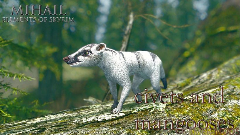 Циветы и Мангусты / Civets and Mongooses - Elements of Skyrim