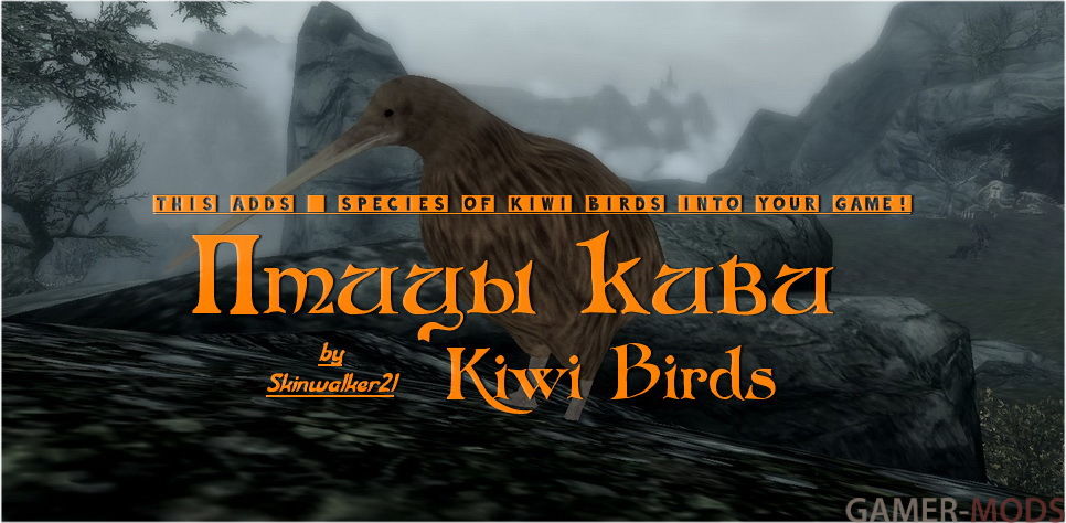 Птицы киви / Kiwi Birds