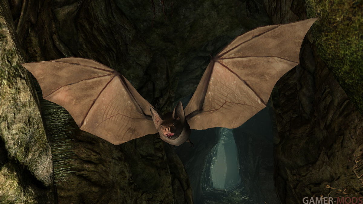Летучая мышь | Enemy Bats - Elements of Skyrim