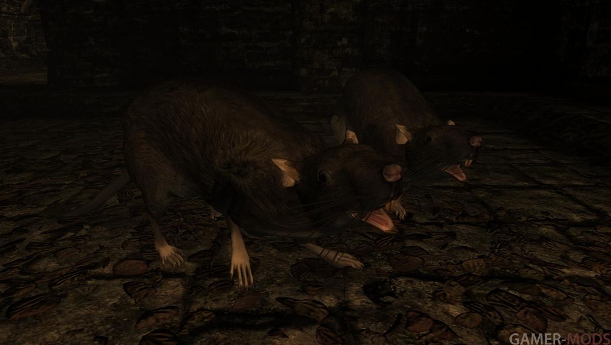 Большие крысы | Giant Rats - Mihail Monsters and Animals