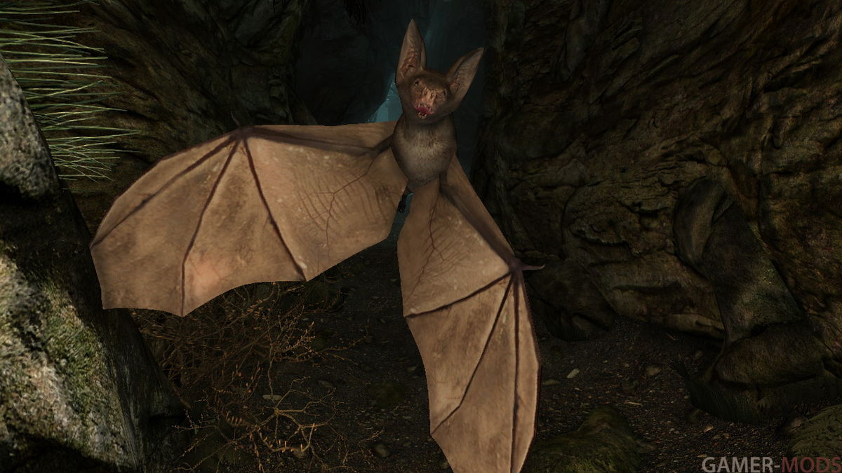 Мод добавляет летучих мышей в мир Скайрима как общих врагов внутри пещер, ф...