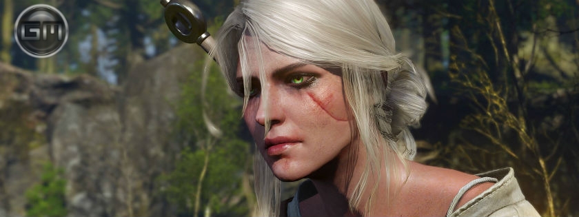 The Witcher 3: Wild Hunt - новые детали геймплея